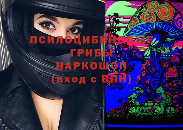 гидра Алзамай