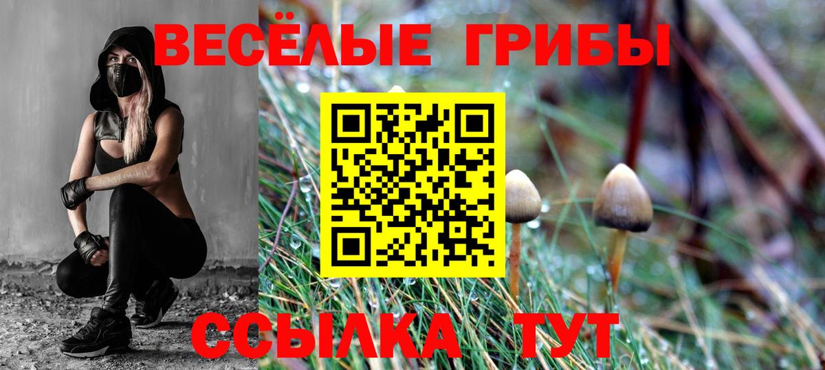 Псилоцибиновые грибы Cubensis Новоуральск